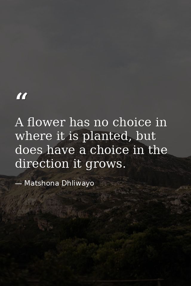 A flower has no choice in where it is planted, but does have a choice in the direction it grows. — Matshona Dhliwayo