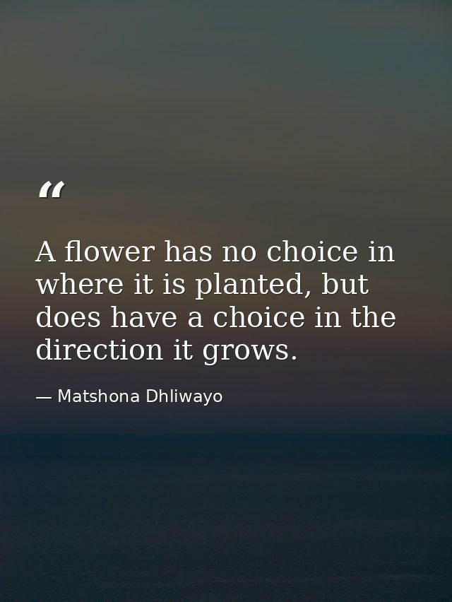 A flower has no choice in where it is planted, but does have a choice in the direction it grows. — Matshona Dhliwayo
