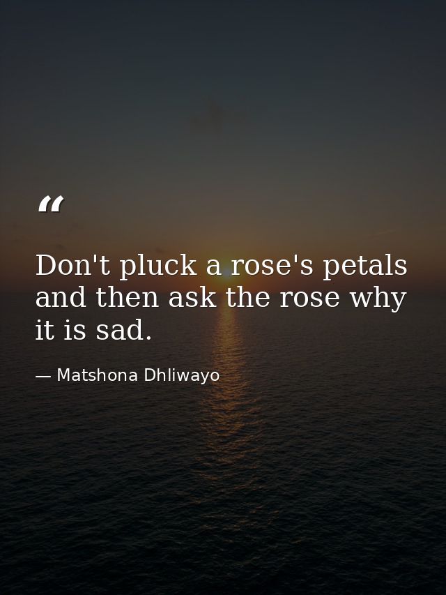 Don't pluck a rose's petals and then ask the rose why it is sad. — Matshona Dhliwayo