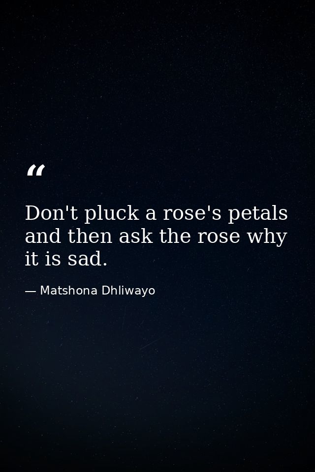 Don't pluck a rose's petals and then ask the rose why it is sad. — Matshona Dhliwayo