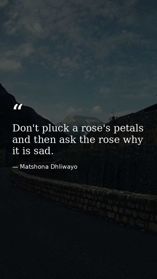 Don't pluck a rose's petals and then ask the rose why it is sad. — Matshona Dhliwayo