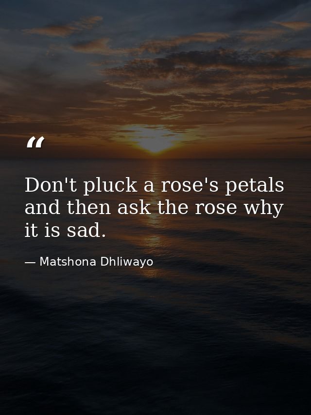 Don't pluck a rose's petals and then ask the rose why it is sad. — Matshona Dhliwayo