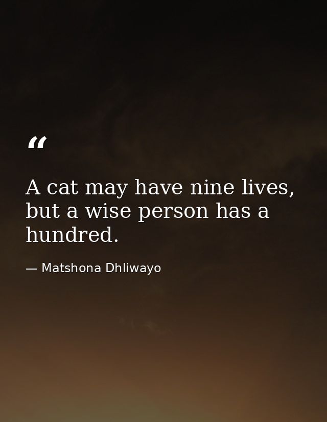 A cat may have nine lives, but a wise person has a hundred. — Matshona Dhliwayo