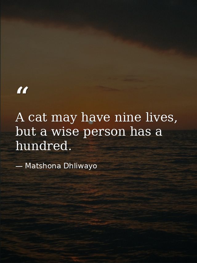 A cat may have nine lives, but a wise person has a hundred. — Matshona Dhliwayo