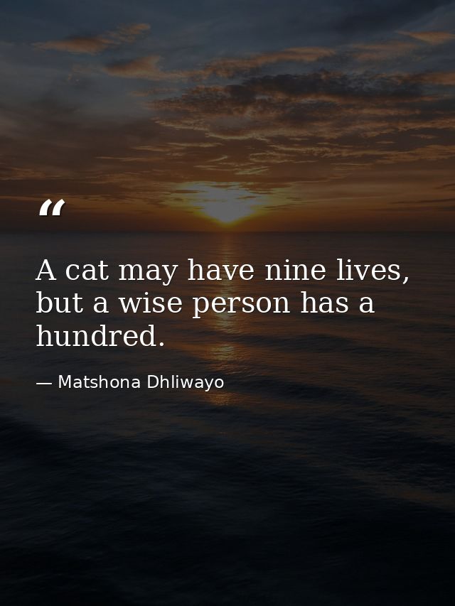 A cat may have nine lives, but a wise person has a hundred. — Matshona Dhliwayo