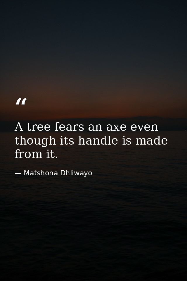 A tree fears an axe even though its handle is made from it. — Matshona Dhliwayo