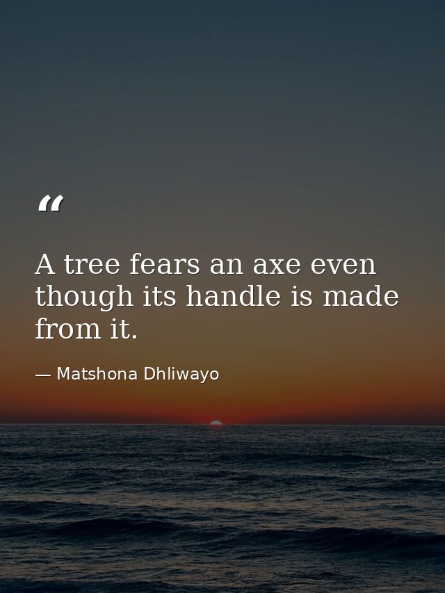 A tree fears an axe even though its handle is made from it. — Matshona Dhliwayo