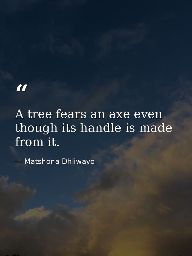 A tree fears an axe even though its handle is made from it. — Matshona Dhliwayo
