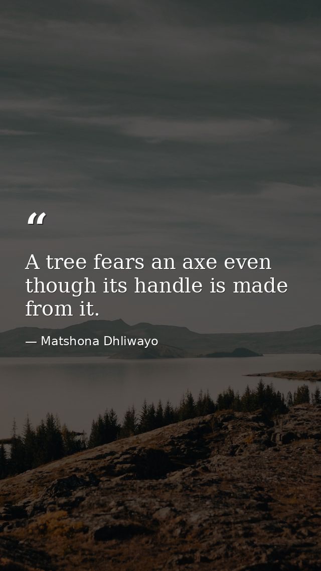 A tree fears an axe even though its handle is made from it. — Matshona Dhliwayo
