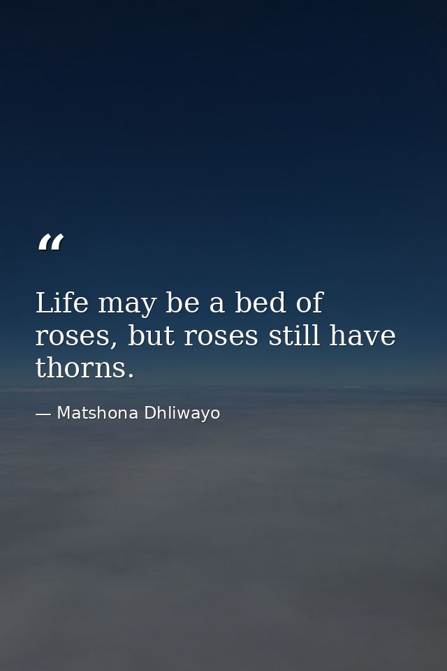 Life may be a bed of roses, but roses still have thorns. — Matshona Dhliwayo