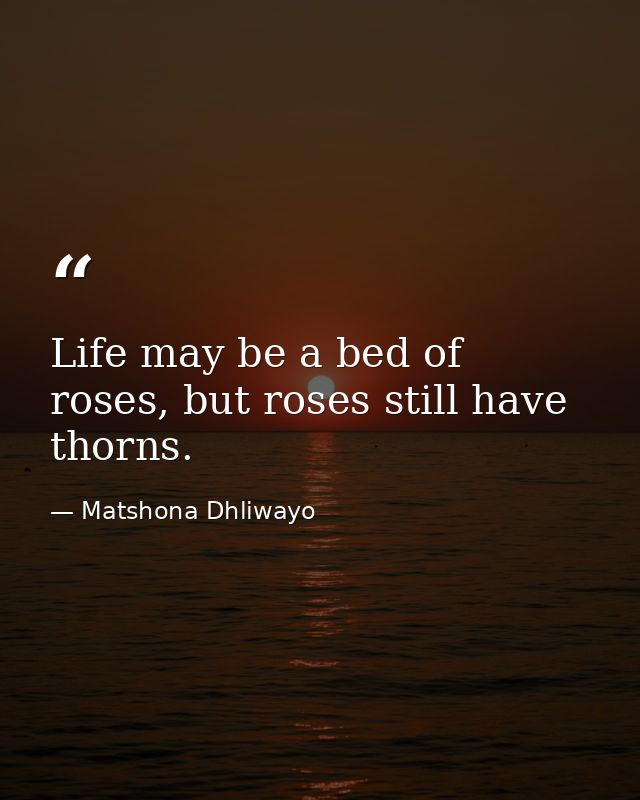 Life may be a bed of roses, but roses still have thorns. — Matshona Dhliwayo