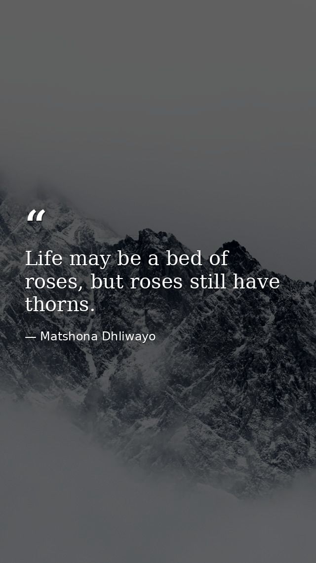 Life may be a bed of roses, but roses still have thorns. — Matshona Dhliwayo
