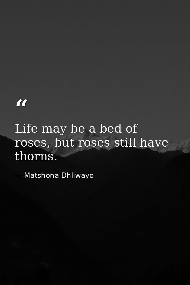 Life may be a bed of roses, but roses still have thorns. — Matshona Dhliwayo