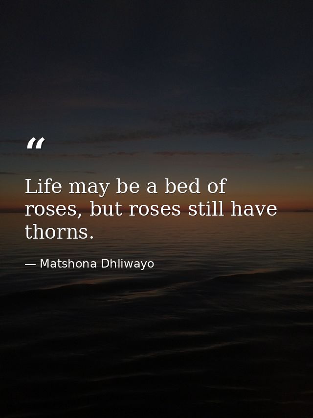 Life may be a bed of roses, but roses still have thorns. — Matshona Dhliwayo