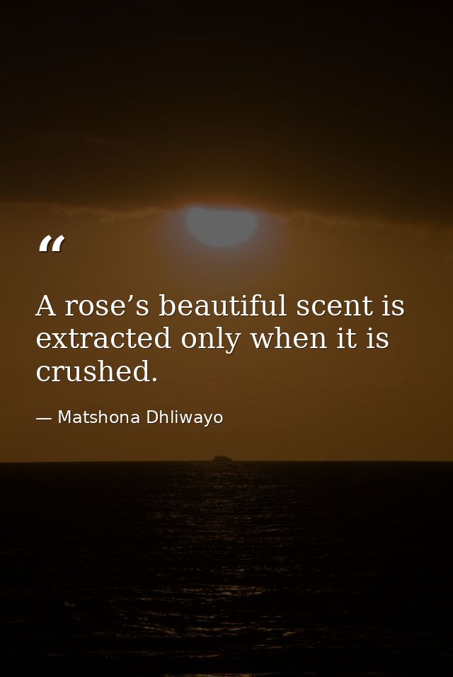 A rose’s beautiful scent is extracted only when it is crushed. — Matshona Dhliwayo