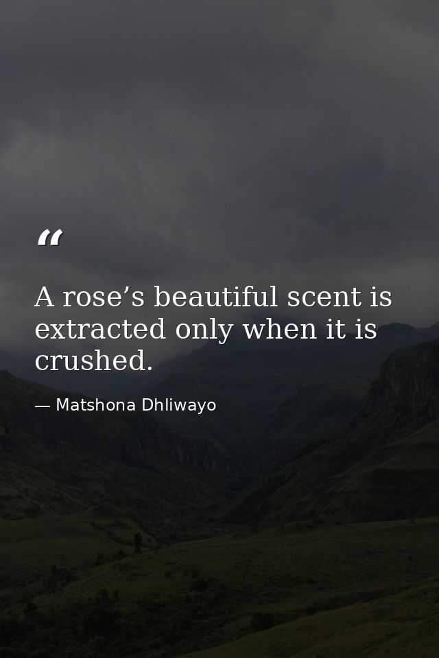 A rose’s beautiful scent is extracted only when it is crushed. — Matshona Dhliwayo