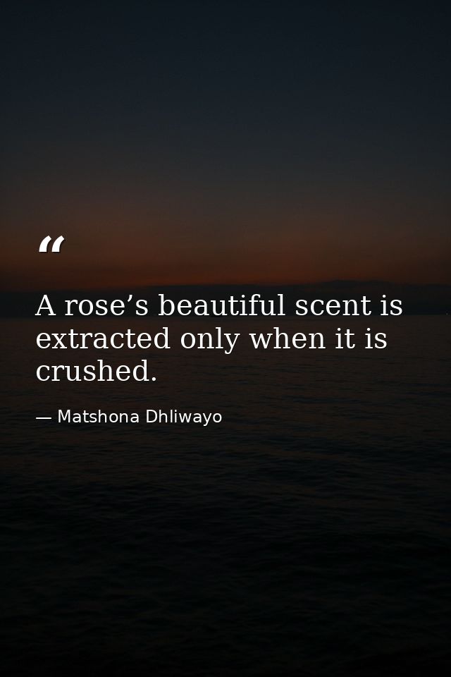 A rose’s beautiful scent is extracted only when it is crushed. — Matshona Dhliwayo