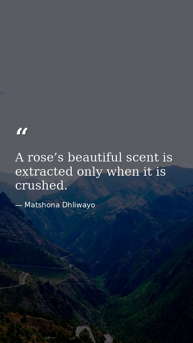 A rose’s beautiful scent is extracted only when it is crushed. — Matshona Dhliwayo