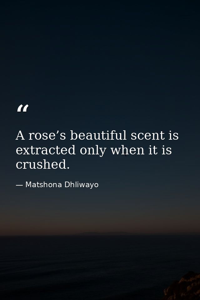 A rose’s beautiful scent is extracted only when it is crushed. — Matshona Dhliwayo
