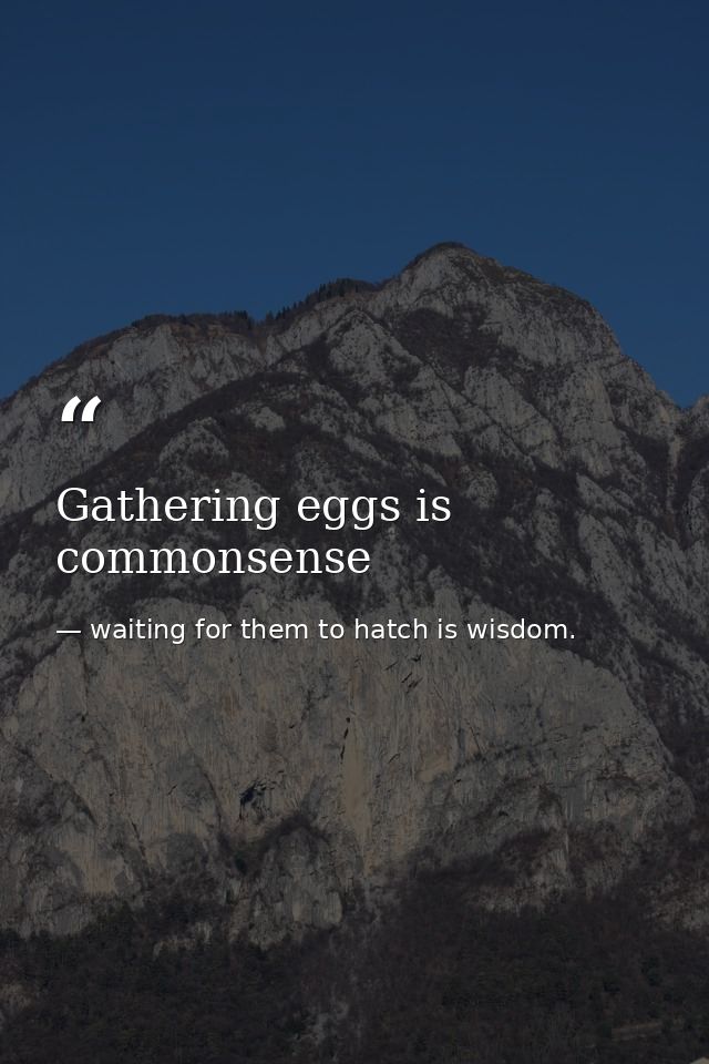 Gathering eggs is commonsense — waiting for them to hatch is wisdom.