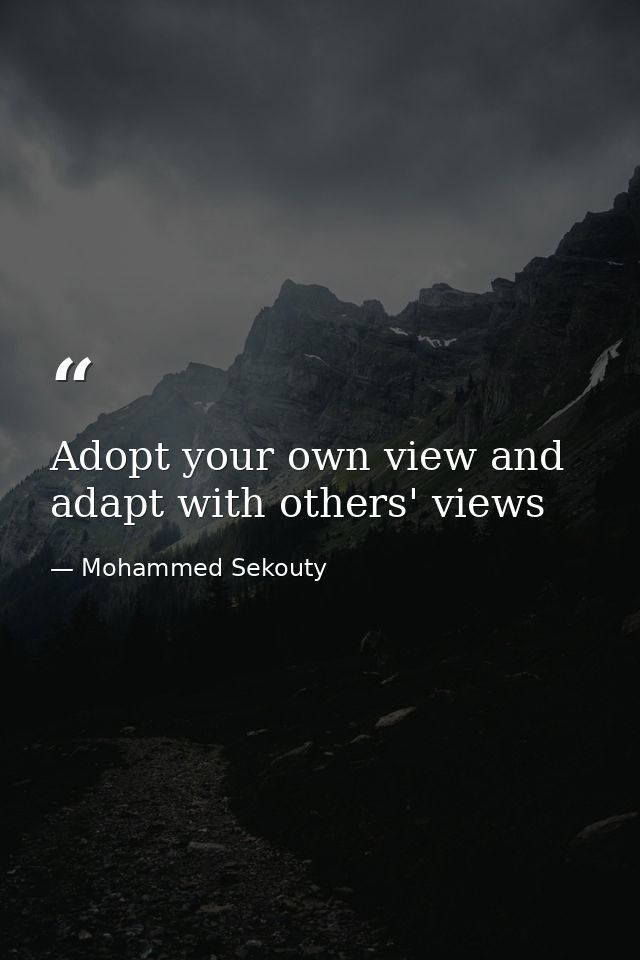Adopt your own view and adapt with others' views — Mohammed Sekouty