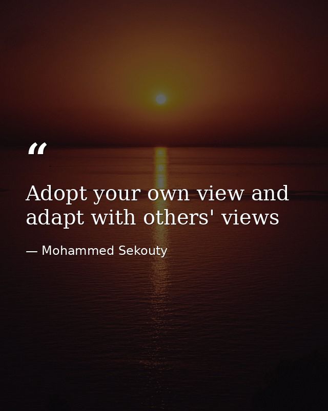 Adopt your own view and adapt with others' views — Mohammed Sekouty