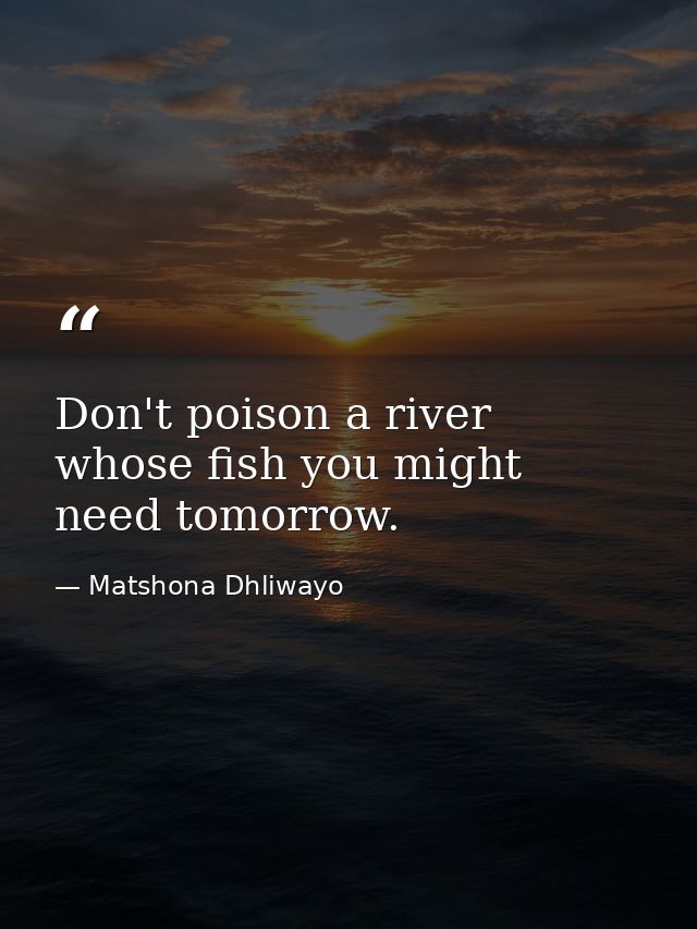 Don't poison a river whose fish you might need tomorrow. — Matshona Dhliwayo