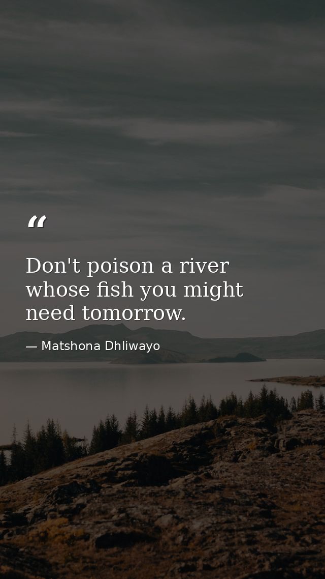 Don't poison a river whose fish you might need tomorrow. — Matshona Dhliwayo