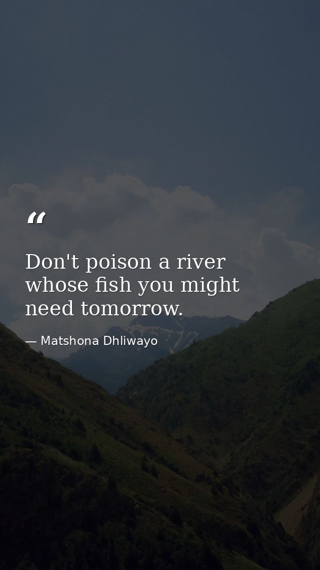 Don't poison a river whose fish you might need tomorrow. — Matshona Dhliwayo