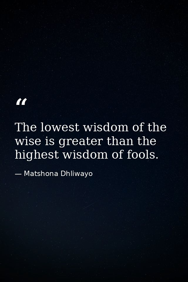 The lowest wisdom of the wise is greater than the highest wisdom of fools. — Matshona Dhliwayo