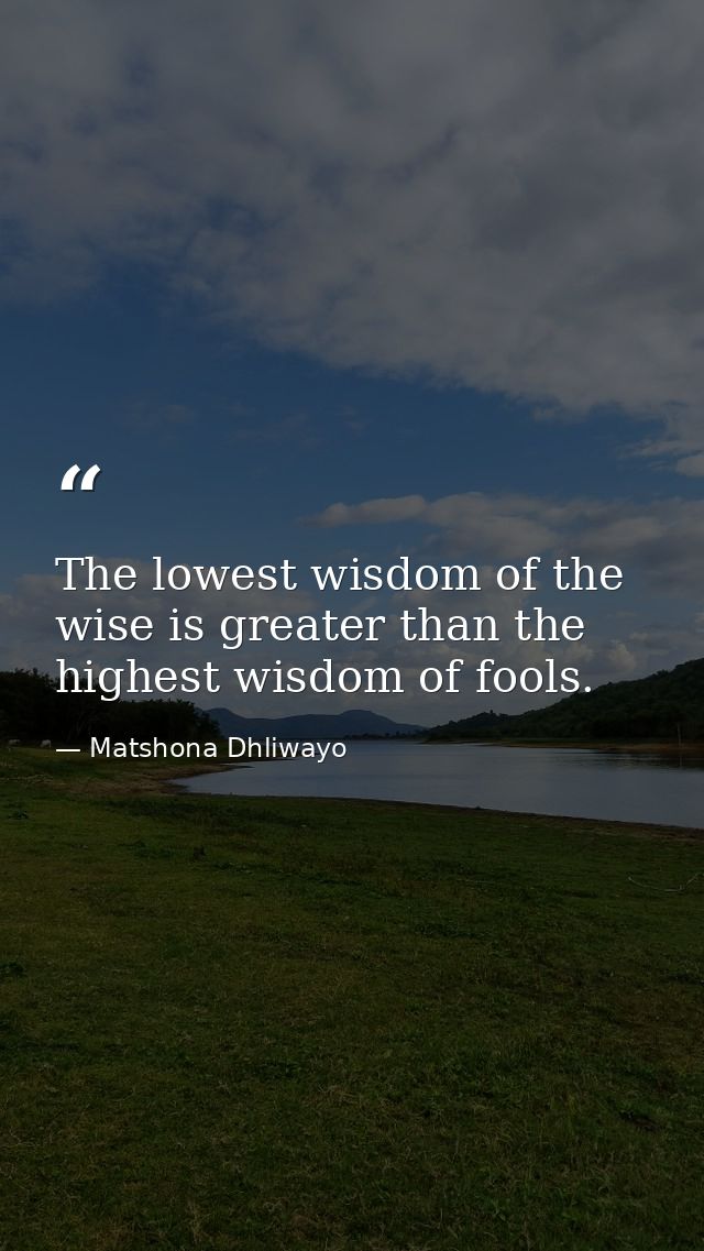 The lowest wisdom of the wise is greater than the highest wisdom of fools. — Matshona Dhliwayo