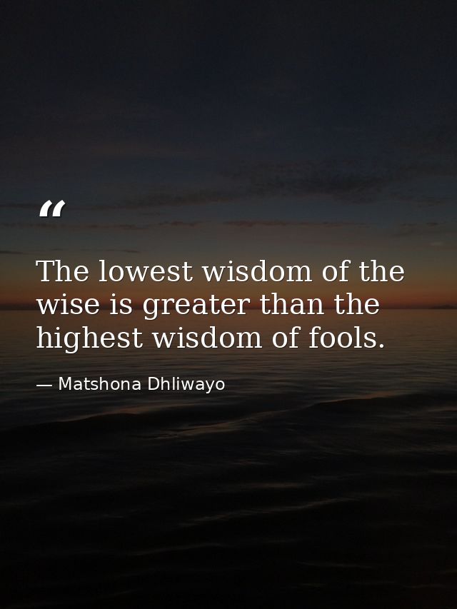 The lowest wisdom of the wise is greater than the highest wisdom of fools. — Matshona Dhliwayo