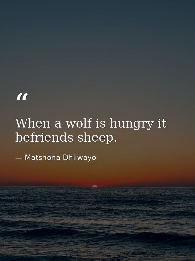 When a wolf is hungry it befriends sheep. — Matshona Dhliwayo