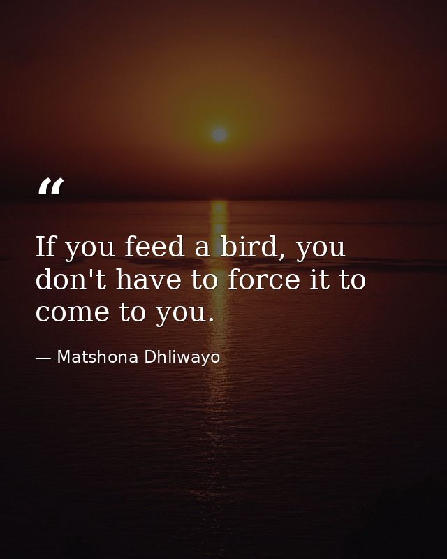 If you feed a bird, you don't have to force it to come to you. — Matshona Dhliwayo