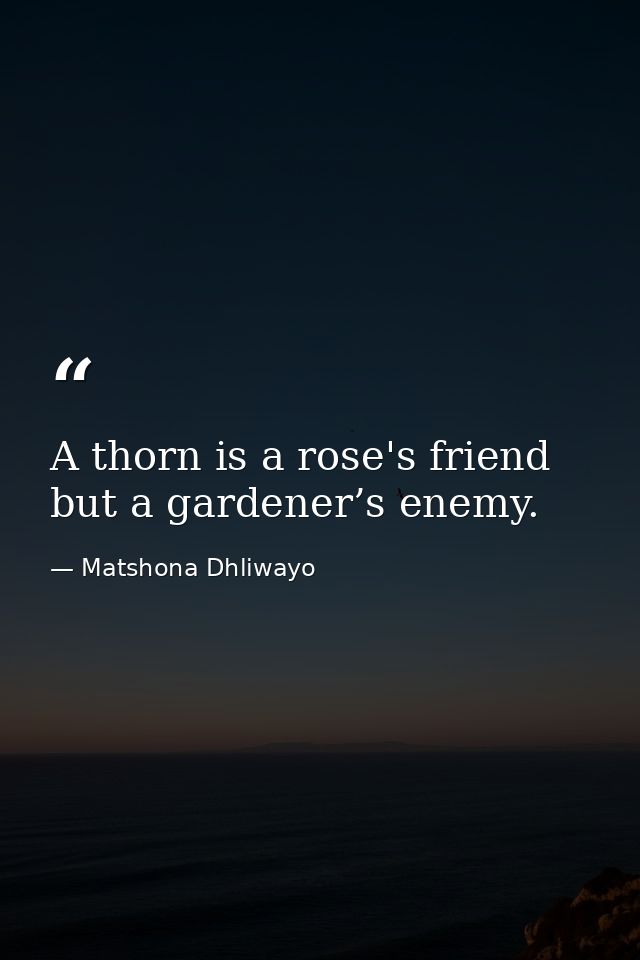 A thorn is a rose's friend but a gardener’s enemy. — Matshona Dhliwayo