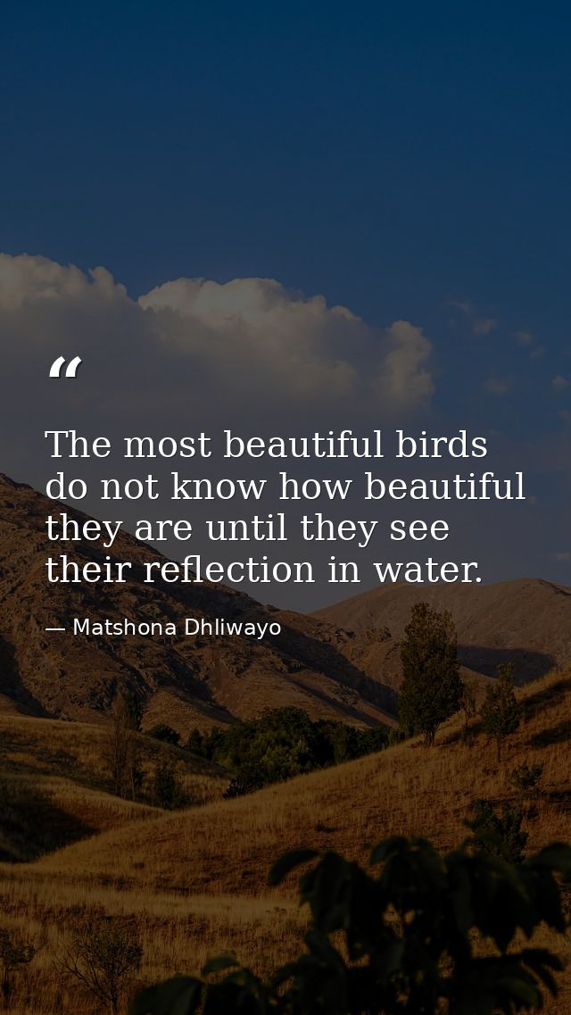 The most beautiful birds do not know how beautiful they are until they see their reflection in water. — Matshona Dhliwayo