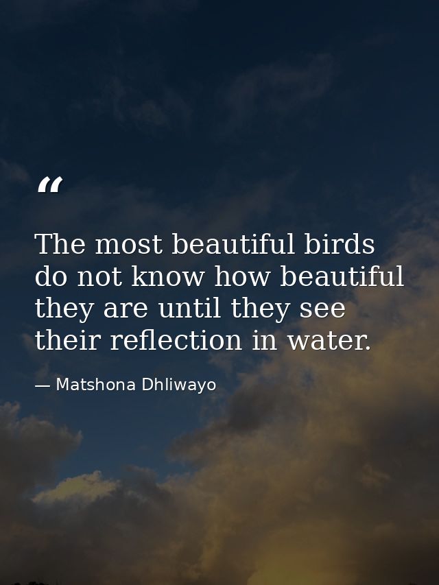 The most beautiful birds do not know how beautiful they are until they see their reflection in water. — Matshona Dhliwayo