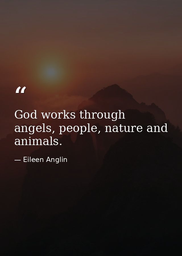 God works through angels, people, nature and animals. — Eileen Anglin
