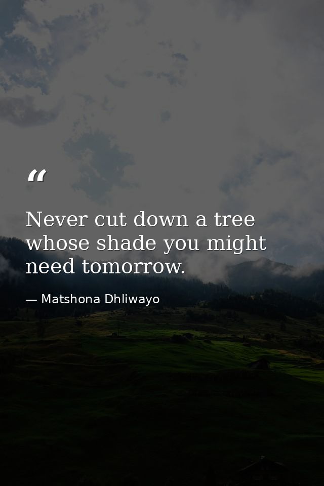 Never cut down a tree whose shade you might need tomorrow. — Matshona Dhliwayo