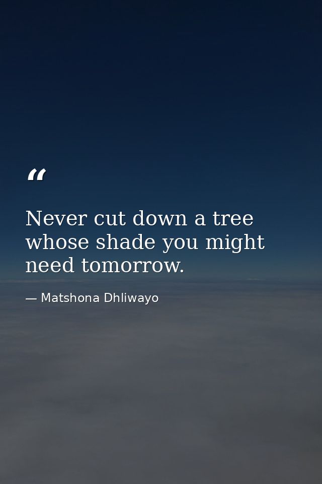 Never cut down a tree whose shade you might need tomorrow. — Matshona Dhliwayo