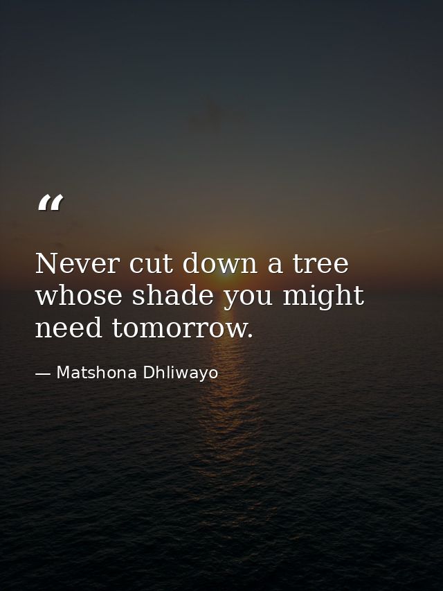 Never cut down a tree whose shade you might need tomorrow. — Matshona Dhliwayo