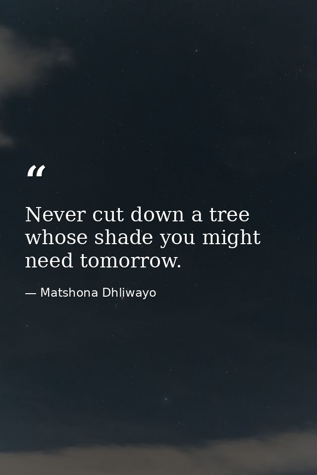 Never cut down a tree whose shade you might need tomorrow. — Matshona Dhliwayo