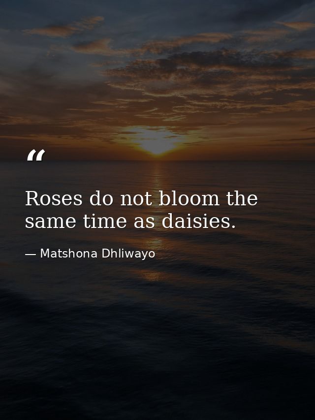 Roses do not bloom the same time as daisies. — Matshona Dhliwayo