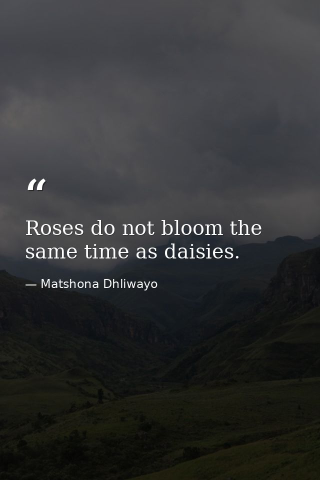 Roses do not bloom the same time as daisies. — Matshona Dhliwayo