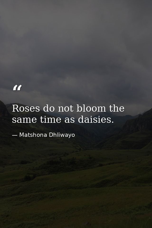 Roses do not bloom the same time as daisies. — Matshona Dhliwayo