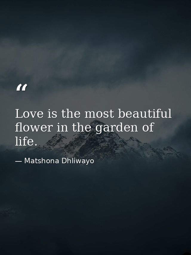 Love is the most beautiful flower in the garden of life. — Matshona Dhliwayo