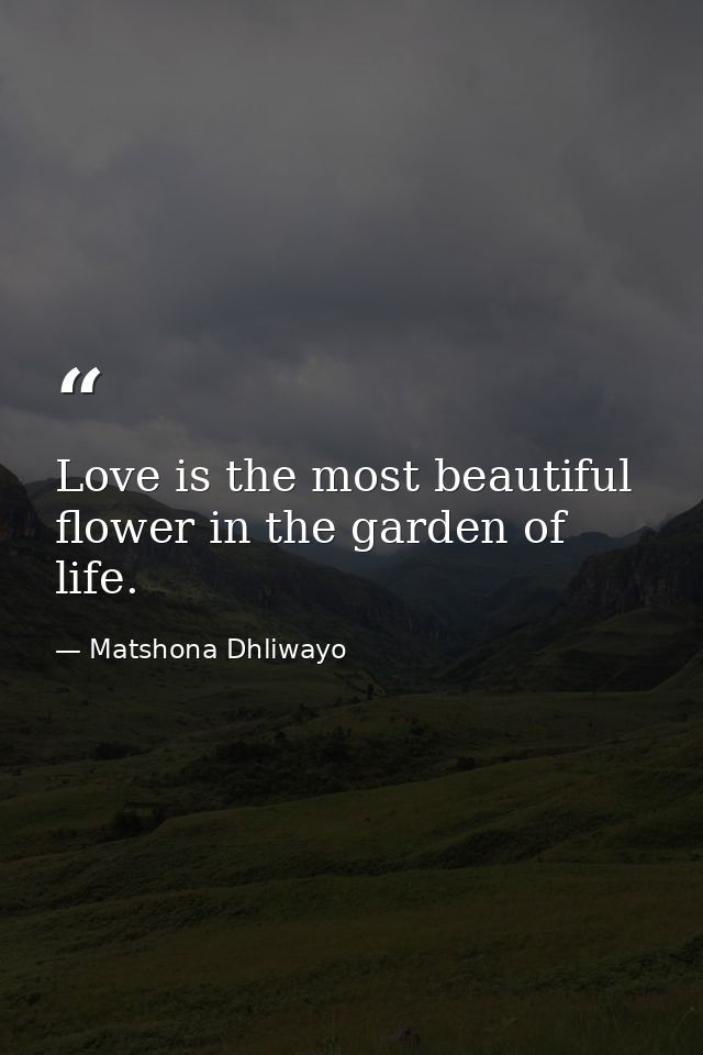 Love is the most beautiful flower in the garden of life. — Matshona Dhliwayo
