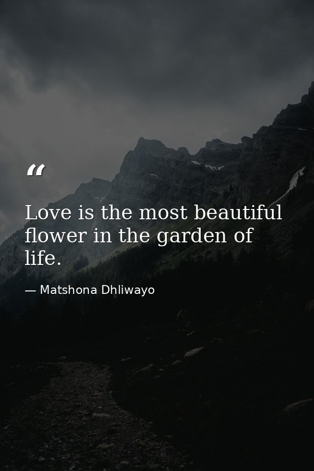 Love is the most beautiful flower in the garden of life. — Matshona Dhliwayo