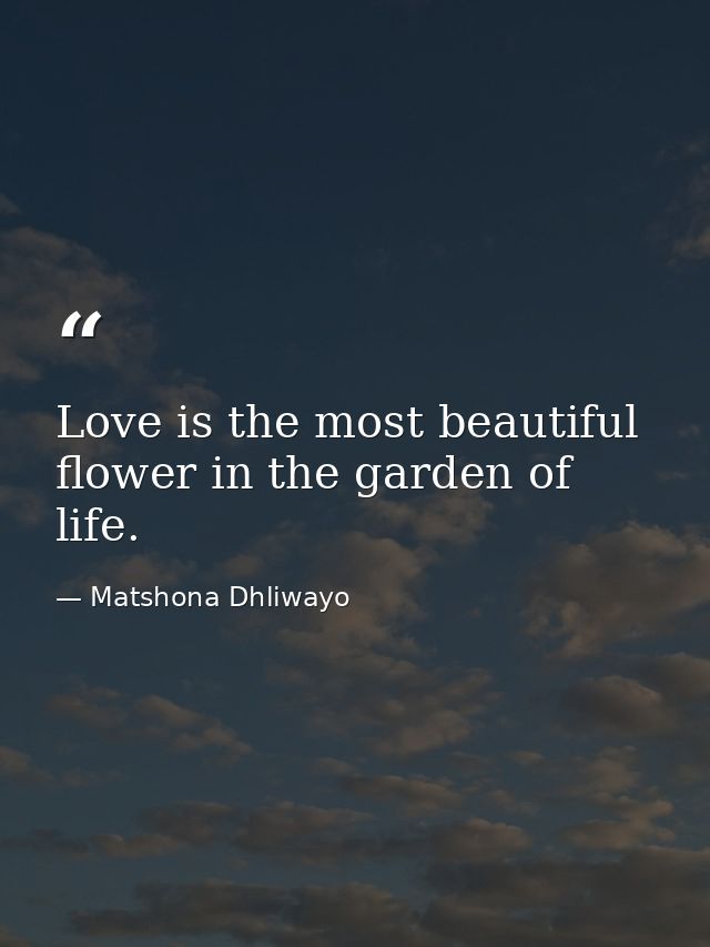 Love is the most beautiful flower in the garden of life. — Matshona Dhliwayo