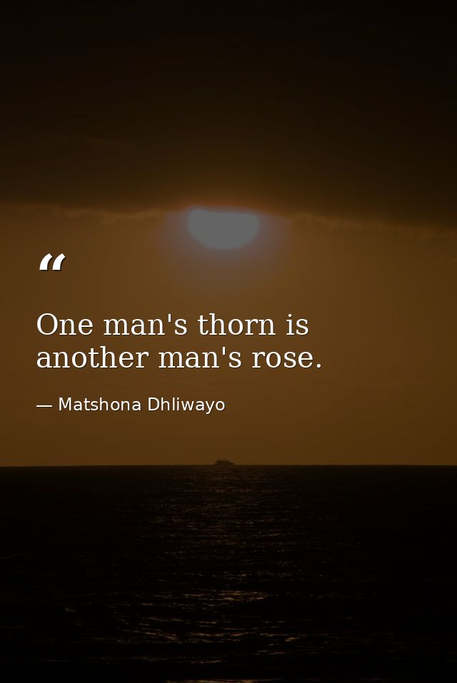One man's thorn is another man's rose. — Matshona Dhliwayo